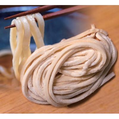 ふるさと納税 与謝野町 へじや製麺のうどん生麺10食セット 太麺タイプ　つけ用特製だしつゆ付