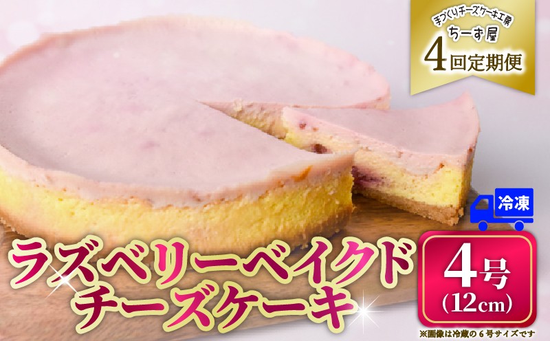 
                  4回 定期便 ラズベリーベイクド チーズケーキ 4号 12cm 冷凍 スイーツ デザート ケーキ ベリー 洋菓子 お菓子 おやつ 手作り お取り寄せ ご褒美 ギフト プレゼント 贈り物 誕生日 記念日 パーティー 濃厚 クリーミー 酸味 爽やか サワークリーム クッキー バター 専門店 チーズケーキ工房 ちーず屋 数量限定 人気 おすすめ ランキング 4ヶ月連続 頒布会 高知県 安芸市
                