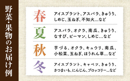 【6回定期便】野菜・果物の詰合せと極みドレッシング200ml×2本 / 野菜 やさい 果物 くだもの フルーツ ふるーつ ドレッシング  / 大村市 / おおむら夢ファームシュシュ[ACAA214]