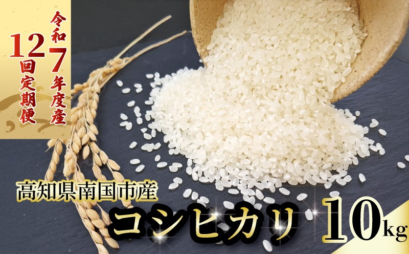 
            【12回定期便】令和7年度 南国市産 コシヒカリ 白米 10㎏ | 数量限定 米 コメ お米 ご飯 おにぎり こめ 弁当 高知県 南国市
          