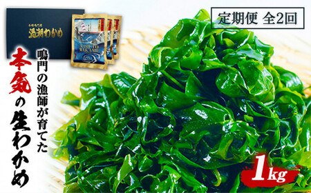 定期便 2回 お届け 生わかめ 1kg （100g×10袋）　塩蔵わかめ 生わかめ 鳴門わかめ ワカメ 鳴門産わかめ わかめサラダ お手頃わかめ 鳴門わかめ　定期便