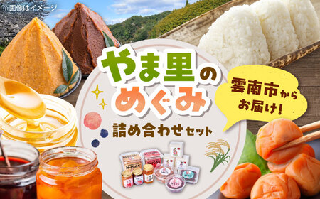 米 「やま里の恵み」詰合セット [AICC002] 米