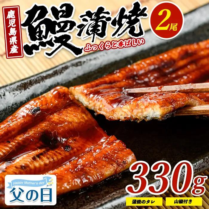 【父の日ギフト】鹿児島県産 鰻の蒲焼(無頭背開き)約165g×2尾 山中水産 IB022-001f