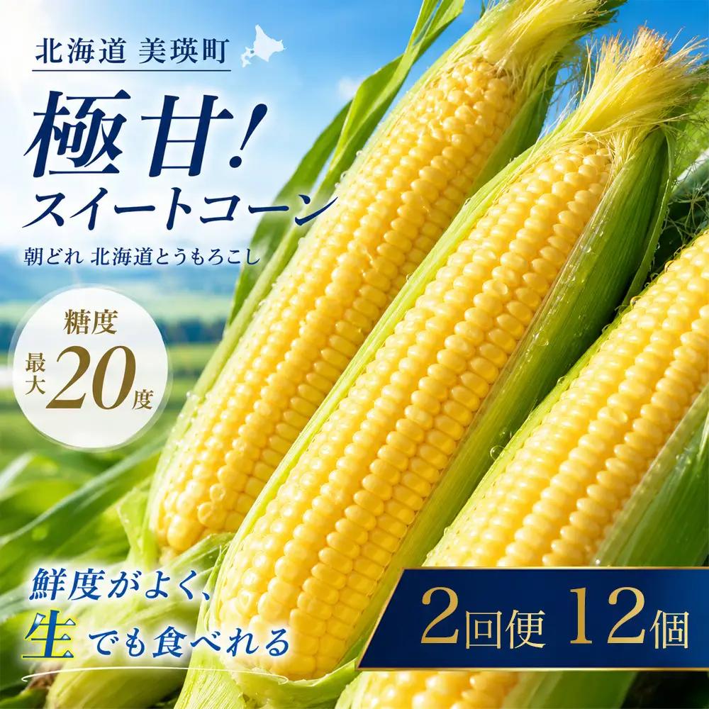 とうもろこし ほしつぶコーン 12本 定期便 2回【令和８年産予約受付】 とうもろこし 北海道