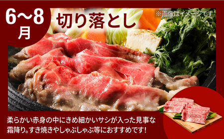 【R8年1月以降発送】【全6回定期便】いちご2種と佐賀牛のセット/いちご 牛肉 [IZZ025]