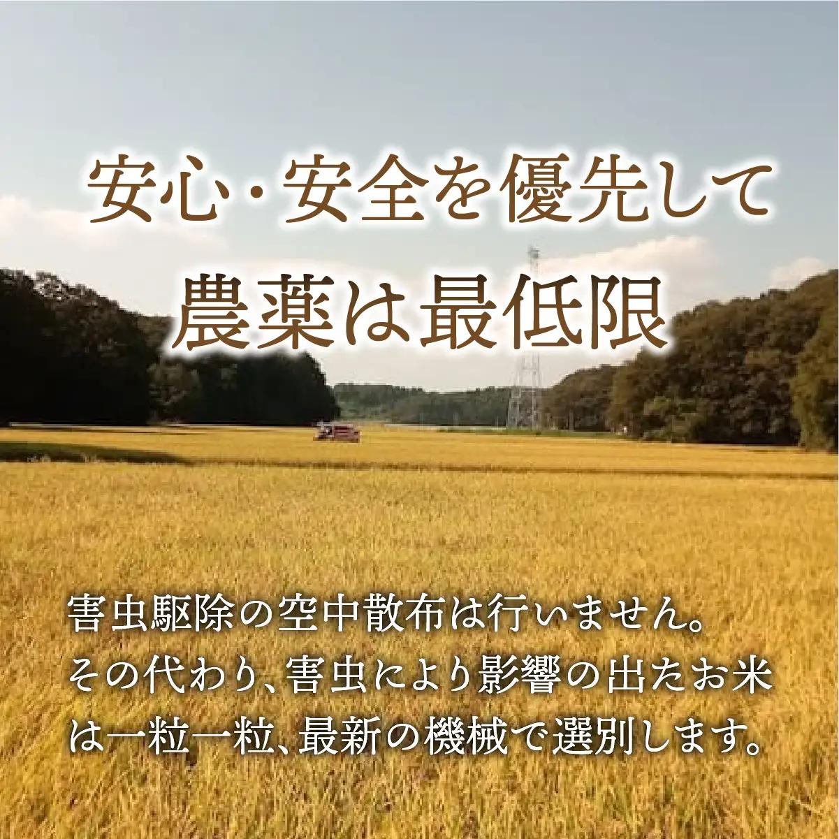 【令和8年産新米】コシヒカリ 玄米 10kg  | 新米 お米 こしひかり コシヒカリ