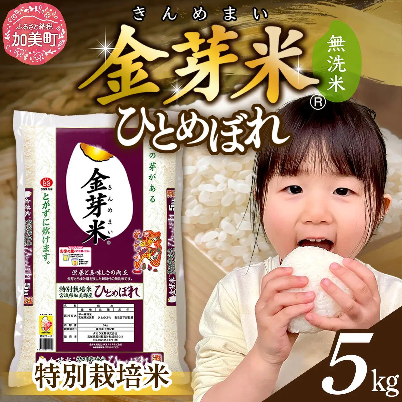 【新米予約】 金芽米 5kg 金芽米