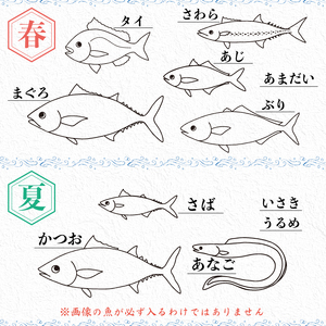 【 鮮魚 】 鮮魚ボックス4kg