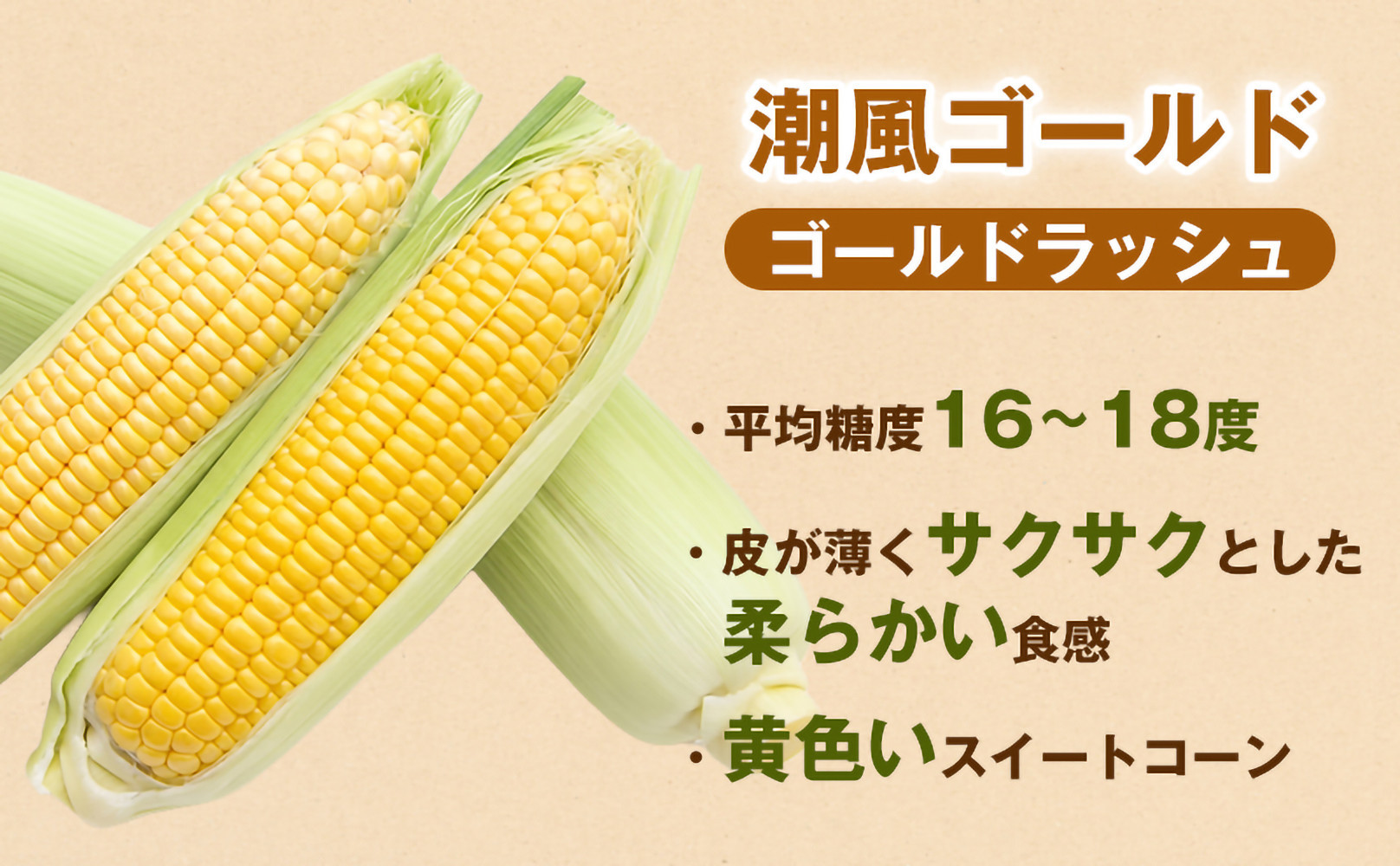 ［定期便・全3回］［夏の味覚］潮風ゴールド 2Lサイズ 5～8本 1セット とうもろこし トウモロコシ ゴールドラッシュ 黄色 潮風ゴールド スイートコーン 茹でとうもろこし BBQ 焼き肉 白浜町