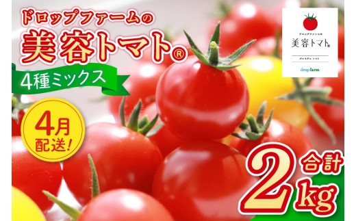 【4月発送】ドロップファームの美容トマト おまかせ2kg箱(４種ミックス)【とまと フルーツトマト 野菜ソムリエ 朝採れ アイコ イエローアイコ 小鈴 フルティカ 野菜 フレッシュ リコピン 大容量 茨城県 水戸市】（CK-102-4）