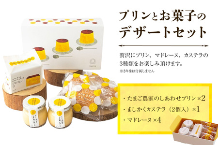 プリンとお菓子のデザートセット プリン カステラ マドレーヌ のし対応 洋菓子 焼き菓子 和菓子 お菓子 おやつ 詰合せ 贈答用 デイリーファーム プリン デザート スイーツ ココテラス なめらかプリ