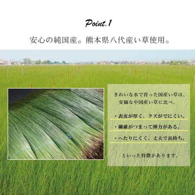 ふるさと納税 八代市 い草ネゴザ(白水)BL 88×180cm  シーツ 寝具 寝ござ 調湿 敷布団_022-4477-A |  | 03