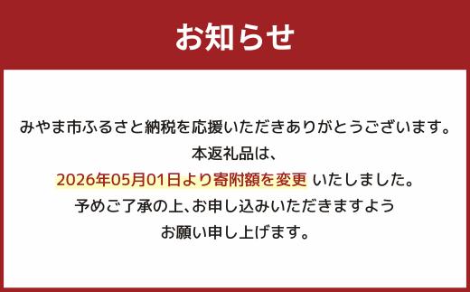 A232 とろみたこ焼150個 たこ焼き たこやき 八ちゃん堂 3kg_イメージ3