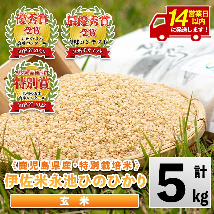 isa400 ＜14営業日以内に発送！＞令和7年産 特別栽培米 永池ひのひかり玄米(5kg) 鹿児島 永池 お米 米 玄米 伊佐米 九州米サミット 食味コンテスト 最優秀賞受賞 ヒノヒカリ 【エコファーム永池】