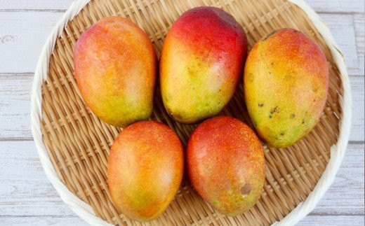 【先行受付】【2025年発送】ヤマト農園 アップルマンゴー訳あり約1.5kg（3～6玉）- 先行予約 沖縄県産 産地直送 南国フルーツ 旬の味覚 季節の果物 ご自宅用 訳アリ 沖縄マンゴー 沖縄県 八