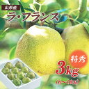 【ふるさと納税】山形市産 ラ・フランス 特秀 3kg(6～10玉) fz19-432 ラフランス 洋梨 フルーツ 果物 お取り寄せ 送料無料 洋なし