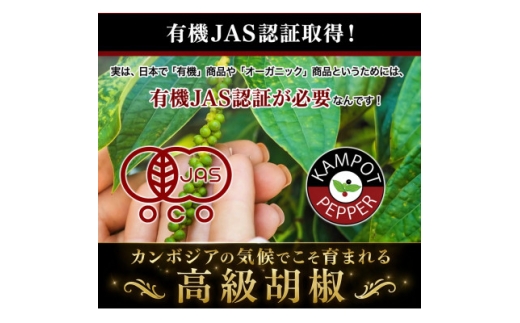 生胡椒 塩漬け 50g×1P カンポットペッパー【1735557】