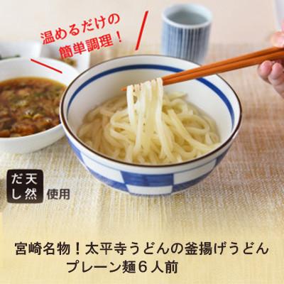 ふるさと納税 高鍋町 太平寺うどんの釜揚げうどん プレーン麺(6人前)