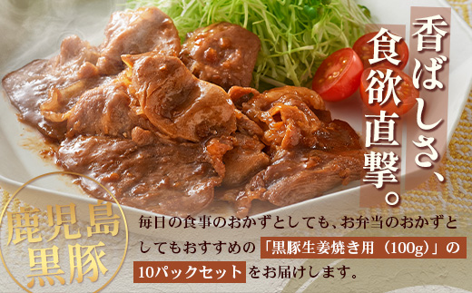 鹿児島県産 黒豚生姜焼きセット 100g×10パック 味付き肉 冷凍 NS-23 | 鹿児島 黒豚 かごしま黒豚 お肉 肉 豚肉 しょうが焼き 焼くだけ 味付き おかず お弁当 加工肉 真空パック 鹿