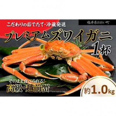 ふるさと納税 おおい町 【2026年11月より順次発送】越前ガニ 約1.0kg 濃厚な味噌と身が詰まったズワイガニをお届け