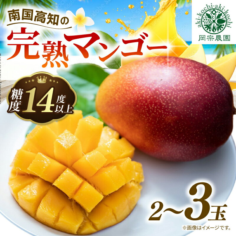 【ふるさと納税】 先行予約 完熟 マンゴー 2玉 ～ 3玉 800g ～ 900g フルーツ 果物 くだもの 季節限定 期間限定 旬 限定 期間限定 高糖度 南国フルーツ 南国マンゴー スイーツ デザート アレンジ プリン ケーキ スムージー 国産 先行受付 メリーガーデン 高知県安芸市