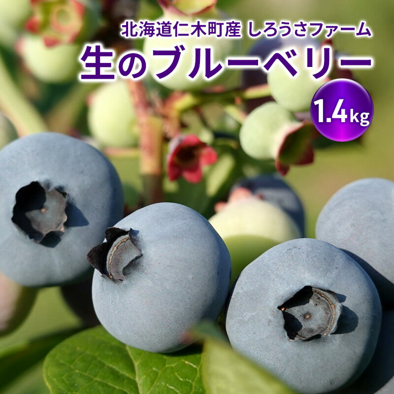 【ふるさと納税】[先行受付] 北海道 仁木町産 有機栽培ブルーベリー1.4kg サイズ混合 果物 くだもの フルーツ ブルーベリー[しろうさファーム]　お届け：2026年7月15日～8月15日まで