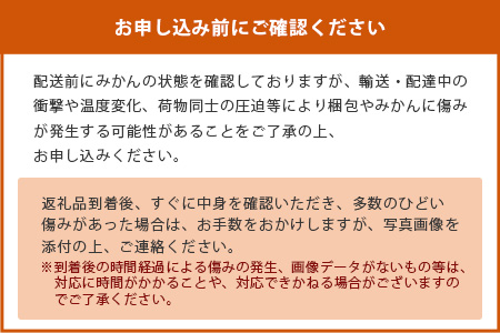 2回定期【訳あり】”やーらしか”鹿島産みかん 約6.5kg ×2回 【配送期日指定不可】佐賀県 鹿島市産 温州ミカン 旨み凝縮 小粒みかんB-714