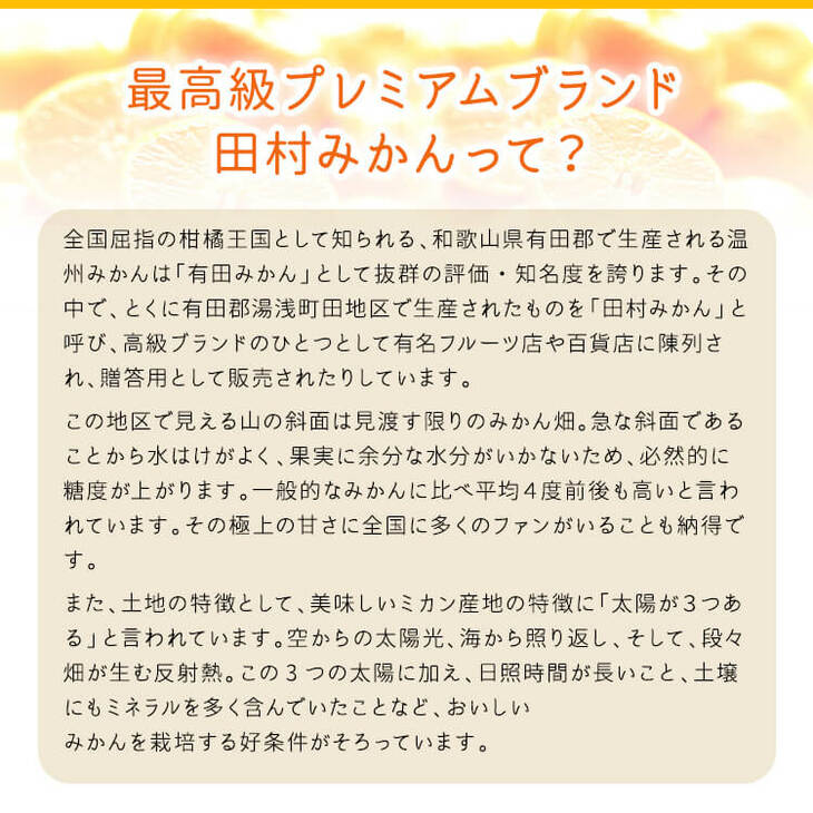 【和歌山特産品】【プレミアムブランド】絶品!濃厚田村みかん 秀品 約10kg ※2024年11月下旬～12月下旬頃に順次発送予定 ※北海道・沖縄・離島への配送不可【ard216】