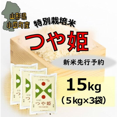 【ふるさと納税】【令和8年産新米】山形県小国町産　つや姫15kg(5kg×3袋)　小国米穀商業協同組合【1545826】