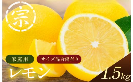 【先行予約】レモン（家庭用）約1.5kg【K003620K1.5】2026年11月上旬～2027年3月下旬に順次発送予定 愛媛県 今治市 先行予約 今治産 宗方 レモン フルーツ 甘い 柑橘 果物 ふるさと納税 宗方印