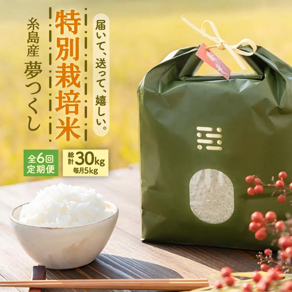 【全6回定期便】 とくべつの中のとくべつ 特別栽培米 5kg 夢つくし 吉富町/(株)やました[BGBX007]