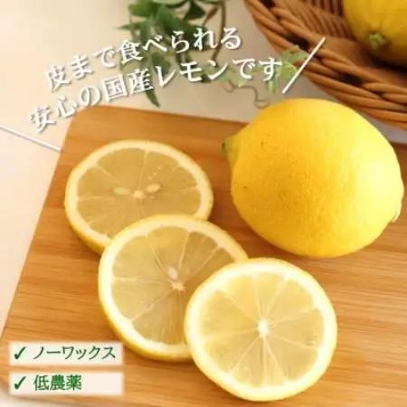 【ノーワックス】訳あり・ご家庭用 国産レモン 5kg (サイズおまかせ)【2027年2月以降発送】【1752410】