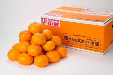 ポンカン［約8kg］和歌山県 有田産 春みかん 春柑橘【果実サイズおまかせ】 ｜ 和歌山県産 柑橘 フルーツ 紀伊国屋文左衛門本舗 