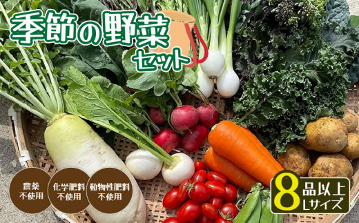 【発送時期限定】 京都府綾部市の季節の野菜セットL（4～6名様分）農薬不使用 新鮮 野菜 セット 詰め合わせ 京都 綾部 農家直送