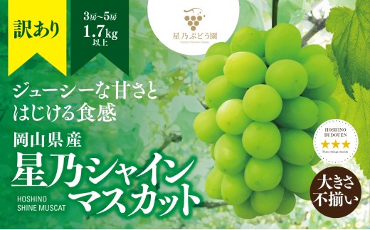 先行受付＜訳あり＞星乃シャインマスカット 1.7kg 3房～5房【1554836】