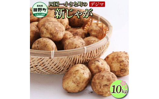 ★先行受付：2026年5月発送開始★大野台地で採れた令和8年産新じゃがいも『デジマ』10kg 10キロ イモ ジャガイモ 芋 いも ポテト 野菜 おいしい ふっくら 旬 国産 お取り寄せ 送料無料