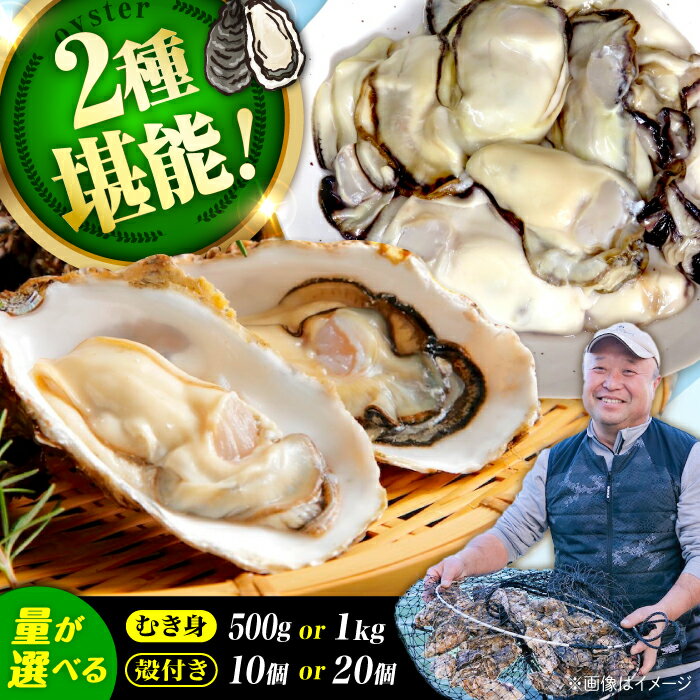 【ふるさと納税】高品質の牡蠣を産地直送！ 【生牡蠣】【着日指定可能】『てつまるかき』牡蠣 むき身500g・殻付き10個セット 加熱用 魚介類 海鮮 牡蠣 むき身 冷凍 かき カキフライ カキ ギフト 広島県産 人気 送料無料 江田島市/有限会社テツマル海産[XCO012]