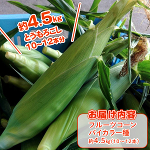 【2026年先行予約 / 数量限定 とうもろこし】 フルーツコーン バイカラー種 10～12本 とうもろこし
