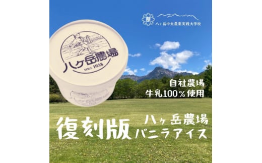 八ヶ岳農場 復刻版バニラアイス 12個【1600446】