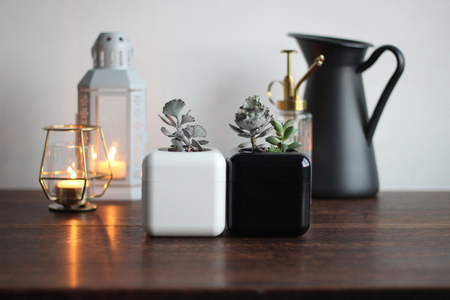 根腐れ防止!多肉植物専用の室内用植木鉢「サボテンハウス(R)」 かわいいキューブ型植木鉢 日用品 贈答品 プレゼント ギフト _GD01 _GD02