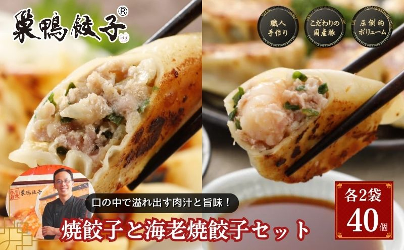 
            巣鴨餃子 焼餃子と海老焼餃子 の組み合わせ 各2袋 40個 餃子 ぎょうざ ギョーザ セット 食べ比べ 冷凍 焼き餃子 おかず おつまみ お取り寄せ 豊島区 東京都
          