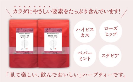 【全6回定期便】ハーブティー＜BeauTea＞2袋【Goenヘルス＆ビューティー】[HBQ014]お茶 ハイビスカス ローズヒップ