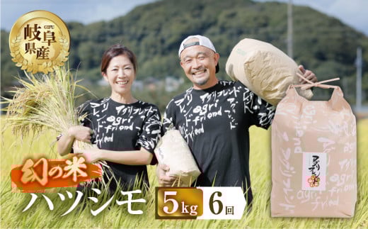 【 6回 定期便 】 令和7年産 ハツシモ 5kg × 6回 6か月 米 こめ ごはん 白米 岐阜県産 本巣市 お米 精米 甘い 和食 寿司 アグリフレンドホリグチ