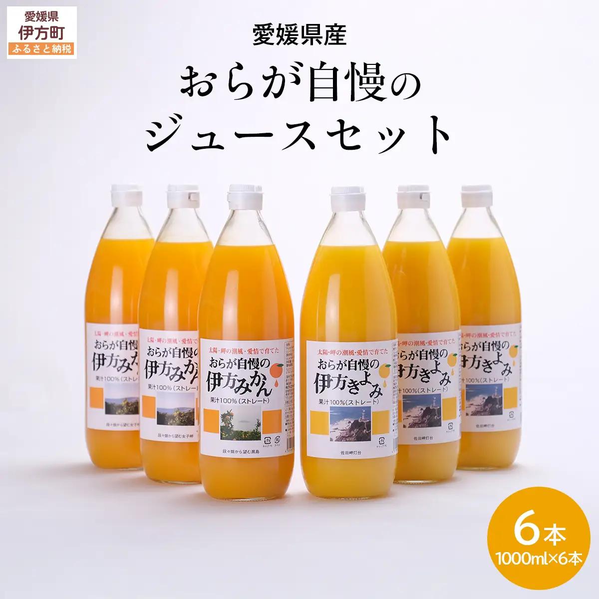 【愛媛県産】おらが自慢のジュースセット（1000ml×6本/みかん3、きよみ3） ストレート果汁100％ 無添加・無着色 【ふるさと納税 人気 おすすめ ランキング みかん ミカン 蜜柑 ゼリー 清見タンゴール セット 詰合せ クリエイト伊方 愛媛県 伊方町 送料無料】 IKTI014