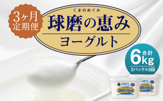 
【3ヶ月定期便】球磨の恵みヨーグルト 加糖 1kg×2パック×3回 合計6kg
