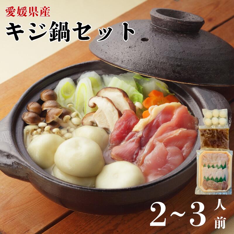 【ふるさと納税】きじ鍋セット 2～3人前 鬼北熟成きじ きじ肉 きじ出汁 濃縮スープ付き 鍋 愛媛｜B153
