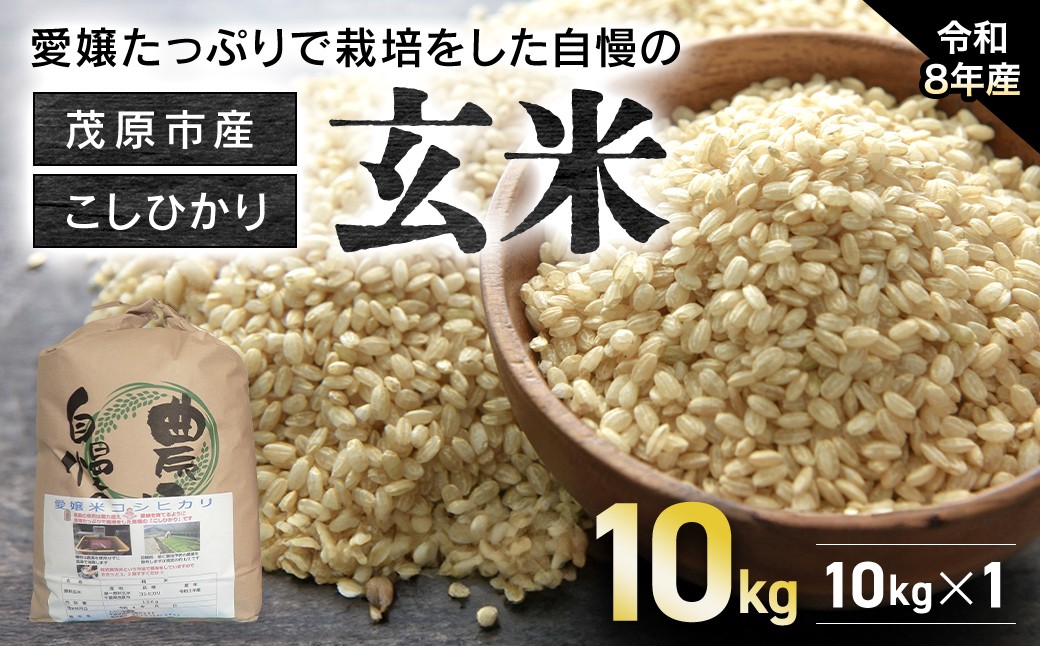 
                  【令和8年産】　茂原市産こしひかり玄米10ｋｇ  ふるさと納税 コシヒカリ 米 玄米 こめ 千葉県 茂原市 MBAO008
                