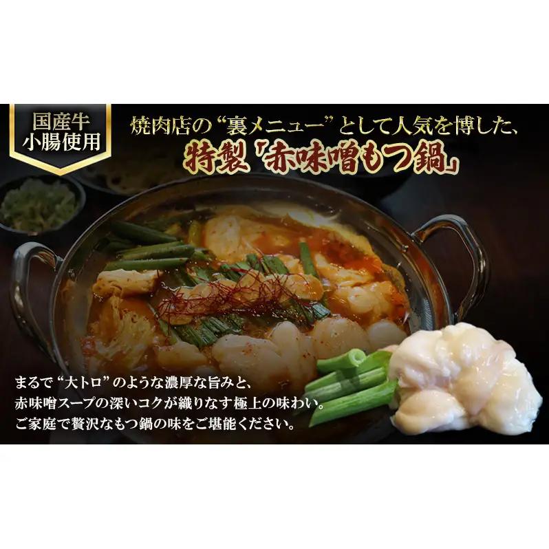 もつ鍋 赤味噌 定期便 2か月 もつ鍋