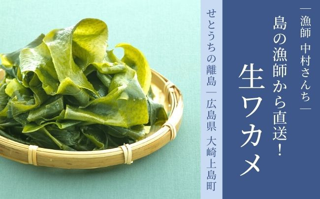 
                  漁師直送！ 生ワカメ 600g 【1月〜2月発送】 大崎上島の漁師 中村さんちのシルキー 食感 海藻 ワカメ わかめ 国産 瀬戸内 産地直送 お取り寄せ 先行予約
                
