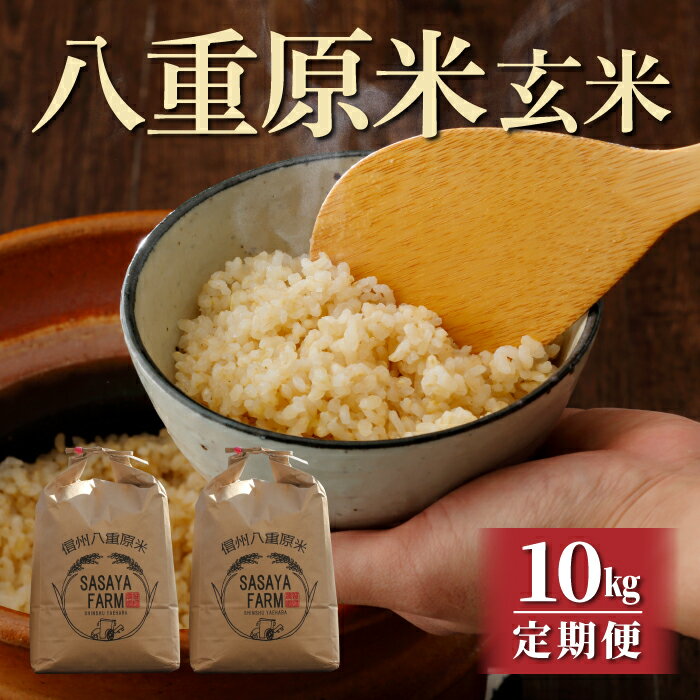 【ふるさと納税】令和7年新米予約【定期便】八重原米10kg（5kg×2袋）玄米　※2025年10月以降順次発送｜笹屋農園